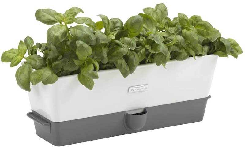 Buy Cole & Mason self watering planter